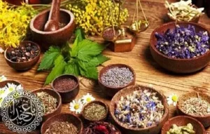 آزمایش ساده برای تشخیص اصالت گیاهان دارویی