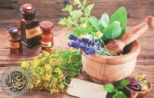 اهمیت تشخیص گیاهان دارویی اصل
