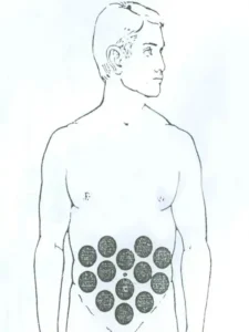 بادکش وسیع شکم