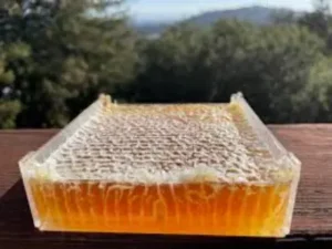 عسل در طب سنتی