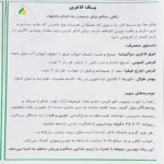 پکیج لاغری - تصویر 2