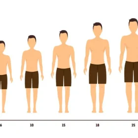 افزایش قد در طب سنتی