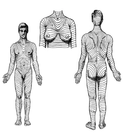 حجامت در طب سنتی